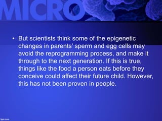Epigenetics Slide 51