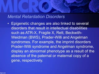 Epigenetics Slide 59