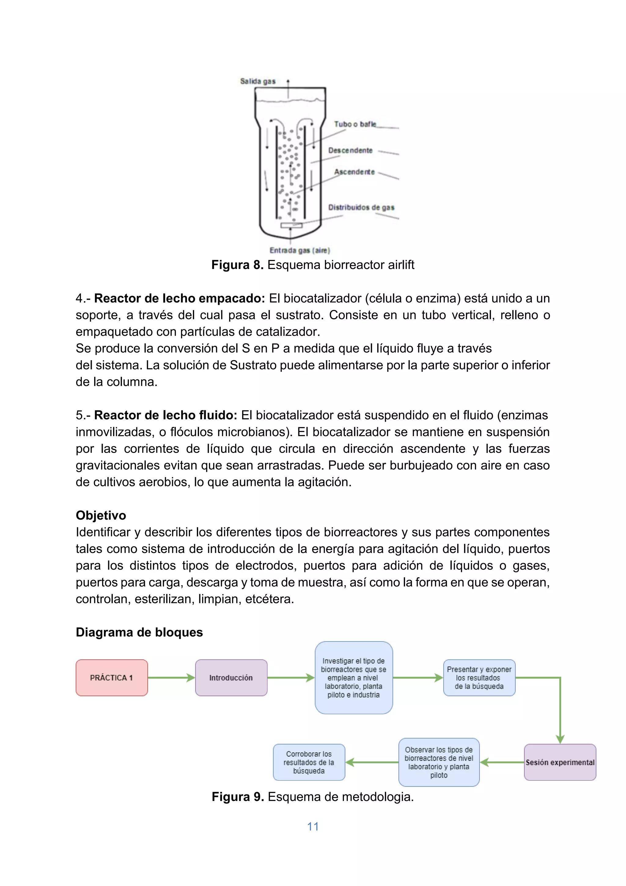 11
Figura 8. Esquema biorreactor airlift
4.- Reactor de lecho empacado: El biocatalizador (célula o enzima) está unido a un
soporte, a través del cual pasa el sustrato. Consiste en un tubo vertical, relleno o
empaquetado con partículas de catalizador.
Se produce la conversión del S en P a medida que el líquido fluye a través
del sistema. La solución de Sustrato puede alimentarse por la parte superior o inferior
de la columna.
5.- Reactor de lecho fluido: El biocatalizador está suspendido en el fluido (enzimas
inmovilizadas, o flóculos microbianos). El biocatalizador se mantiene en suspensión
por las corrientes de líquido que circula en dirección ascendente y las fuerzas
gravitacionales evitan que sean arrastradas. Puede ser burbujeado con aire en caso
de cultivos aerobios, lo que aumenta la agitación.
Objetivo
Identificar y describir los diferentes tipos de biorreactores y sus partes componentes
tales como sistema de introducción de la energía para agitación del líquido, puertos
para los distintos tipos de electrodos, puertos para adición de líquidos o gases,
puertos para carga, descarga y toma de muestra, así como la forma en que se operan,
controlan, esterilizan, limpian, etcétera.
Diagrama de bloques
Figura 9. Esquema de metodologia.
 
