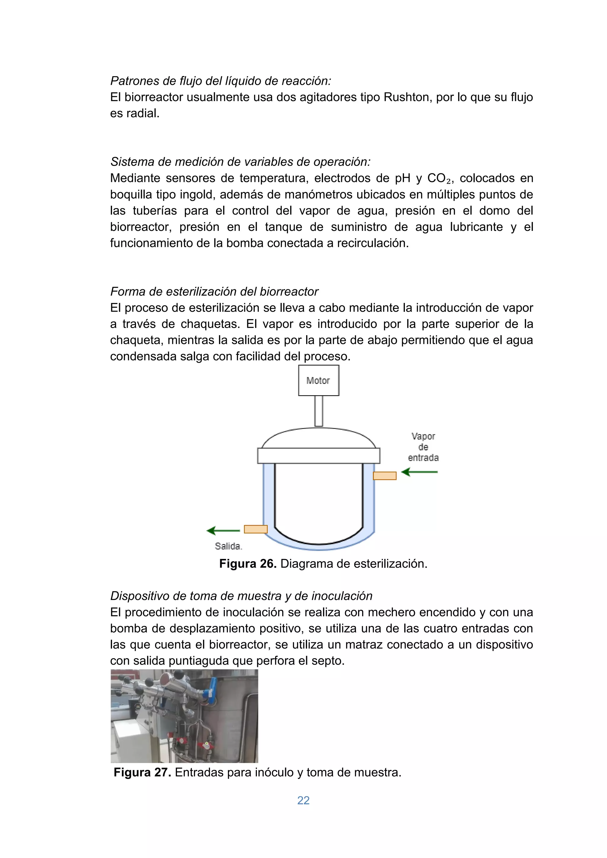 22
Patrones de flujo del líquido de reacción:
El biorreactor usualmente usa dos agitadores tipo Rushton, por lo que su flujo
es radial.
Sistema de medición de variables de operación:
Mediante sensores de temperatura, electrodos de pH y CO₂, colocados en
boquilla tipo ingold, además de manómetros ubicados en múltiples puntos de
las tuberías para el control del vapor de agua, presión en el domo del
biorreactor, presión en el tanque de suministro de agua lubricante y el
funcionamiento de la bomba conectada a recirculación.
Forma de esterilización del biorreactor
El proceso de esterilización se lleva a cabo mediante la introducción de vapor
a través de chaquetas. El vapor es introducido por la parte superior de la
chaqueta, mientras la salida es por la parte de abajo permitiendo que el agua
condensada salga con facilidad del proceso.
Figura 26. Diagrama de esterilización.
Dispositivo de toma de muestra y de inoculación
El procedimiento de inoculación se realiza con mechero encendido y con una
bomba de desplazamiento positivo, se utiliza una de las cuatro entradas con
las que cuenta el biorreactor, se utiliza un matraz conectado a un dispositivo
con salida puntiaguda que perfora el septo.
Figura 27. Entradas para inóculo y toma de muestra.
 