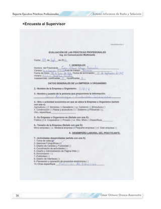 Reporte Ejecutivo Prácticas Profesionales   Sistema Jalisciense de Radio y Televisión




  36                                              César Octavio Orozco Buenrostro
 