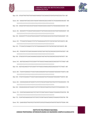 LABORATORIO DE BIOTECNOLOGÍA 
FARMACÉUTICA 
INSTITUTO POLITÉCNICO NACIONAL 
UNIDAD PROFESIONAL INTERDISCIPLINARIA DE INGENIERÍA CAMPUS GUANAJUATO 
Sbjct 241 GTGCATTAGTTAGTTGGTGAGGTAAAGGCTCACCAAGACCGTGATGCATAGCCGACCTGA 300 Query 301 GAGGGTAATCGGCCACACTGGGACTGAGACACGGCCCAGACTCCTACGGGAGGCAGCAGT 360 |||||||||||||||||||||||||||||||||||||||||||||||||||||||||||| Sbjct 301 GAGGGTAATCGGCCACACTGGGACTGAGACACGGCCCAGACTCCTACGGGAGGCAGCAGT 360 Query 361 AGGGAATCTTCCACAATGGACGAAAGTCTGATGGAGCAACGCCGCGTGAGTGAAGAAGGT 420 |||||||||||||||||||||||||||||||||||||||||||||||||||||||||||| Sbjct 361 AGGGAATCTTCCACAATGGACGAAAGTCTGATGGAGCAACGCCGCGTGAGTGAAGAAGGT 420 Query 421 TTTCGGATCGTAAAACTCTGTTGTTGGAGAAGAATGTATCTGATAGTAACTGATCAGGTA 480 |||||||||||||||||||||||||||||||||||||||||||||||||||||||||||| Sbjct 421 TTTCGGATCGTAAAACTCTGTTGTTGGAGAAGAATGTATCTGATAGTAACTGATCAGGTA 480 Query 481 GTGACGGTATCCAACCAGAAAGCCACGGCTAACTACGTGCCAGCAGCCGCGGTAATACGT 540 |||||||||||||||||||||||||||||||||||||||||||||||||||||||||||| Sbjct 481 GTGACGGTATCCAACCAGAAAGCCACGGCTAACTACGTGCCAGCAGCCGCGGTAATACGT 540 Query 541 AGGTGGCAAGCGTTGTCCGGATTTATTGGGCGTAAAGCGAGCGCAGGCGGTTTCTTAAGT 600 |||||||||||||||||||||||||||||||||||||||||||||||||||||||||||| Sbjct 541 AGGTGGCAAGCGTTGTCCGGATTTATTGGGCGTAAAGCGAGCGCAGGCGGTTTCTTAAGT 600 Query 601 CTGATGTGAAAGCCTTCGGCTCAACCGAAGAAGTGCATCGGAAACTGGGAAACTTGAGTG 660 |||||||||||||||||||||||||||||||||||||||||||||||||||||||||||| Sbjct 601 CTGATGTGAAAGCCTTCGGCTCAACCGAAGAAGTGCATCGGAAACTGGGAAACTTGAGTG 660 Query 661 CAGAAGAGGACAGTGGAACTCCATGTGTAGCGGTGAAATGCGTAGATATATGGAAGAACA 720 |||||||||||||||||||||||||||||||||||||||||||||||||||||||||||| Sbjct 661 CAGAAGAGGACAGTGGAACTCCATGTGTAGCGGTGAAATGCGTAGATATATGGAAGAACA 720 Query 721 CCAGTGGCGAAGGCGGCTGTCTGGTCTGTAACTGACGCTGAGGCTCGAAAGCATGGGTAG 780 |||||||||||||||||||||||||||||||||||||||||||||||||||||||||||| Sbjct 721 CCAGTGGCGAAGGCGGCTGTCTGGTCTGTAACTGACGCTGAGGCTCGAAAGCATGGGTAG 780 Query 781 CAAACAGGATTAGATACCCTGGTAGTCCATGCCGTAAACGATGAGTGCTAGGTGTTGGAG 840  