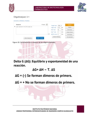 LABORATORIO DE BIOTECNOLOGÍA 
FARMACÉUTICA 
INSTITUTO POLITÉCNICO NACIONAL 
UNIDAD PROFESIONAL INTERDISCIPLINARIA DE INGENIERÍA CAMPUS GUANAJUATO 
Figura 10. Características a analizar de los oligonucleótidos. 
 