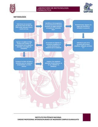 LABORATORIO DE BIOTECNOLOGÍA 
FARMACÉUTICA 
INSTITUTO POLITÉCNICO NACIONAL 
UNIDAD PROFESIONAL INTERDISCIPLINARIA DE INGENIERÍA CAMPUS GUANAJUATO 
METODOLOGÍA 
 