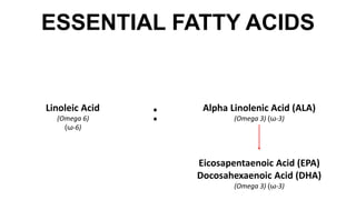 The Biosynthesis of Fatty Acids AnatomyPhysiology | PPTX