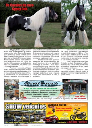 Página 42 Revista www.reportercapixaba.com
O Gypsy Cob ou Gypsy Vanner
é uma nova, linda e rara raça de cavalos
desenvolvida pelos Ciganos Europeus
(Grã-Bretanha). Estes animais foram
selecionados durante mais de 100 anos
para criar um tipo de Shire pequeno que
fosse bastante colorido para combinar
com suas caravanas. As raças de
cavalos utilizadas para a fundação desta
raça são: Dales Ponei, Fell, Welsh Cob
, Shire e Clydesdale.
Poderoso e compacto, o Gypsy
Cob é um animal de sangue frio, rústico
e super resistente, possui esqueleto forte
e musculatura altamente desenvolvida.
A tendência de sua movimentação é
flexível e elegante, funcional regular e
com uma boa variedade de passos, que
oferece um grande conforto. Geralmente
de temperamento calmo, esta raça de
cavalo é muito emocional, procura a
companhia do homem e é agradável
com outras espécies animais.
Impressionante com aparência
majestosa, ele exala inteligência em
geral, bondade, força e agilidade,
presença e carisma. Sua força
juntamente com uma natureza dócil
permite os Gypsy Cobs serem cavalos
de montaria dispostos e versáteis para
esportes eqüestres, como dressage,
equitação ocidental, a caça à raposa,
saltos, pista de equitação e, claro, a
atrelagem.
O tamanho mais comum é cerca
de 1,45m na cernelha, mas existem
animais desta raça entre 1,28m e 1,70m
com um peso médio que varia de 450 a
600 Kg. O Gypsy Cob parece sempre
muito maior do que realmente é, devido
à sua morfologia peculiar.
Estes Cavalos já não estão mais
limitados ao titulo "Cavalos de tração",
hoje esta raça é muito mais utilizada para
equitação e passeios ao ar livre (sela)
do que para atrelagem.
Todas as pelagens são
permitidas, sólidas e pampas porém a
pelagem tradicional é o pampa de preto
(fotos acima).
Os Cavalos da raça
Gypsy Cob
 
