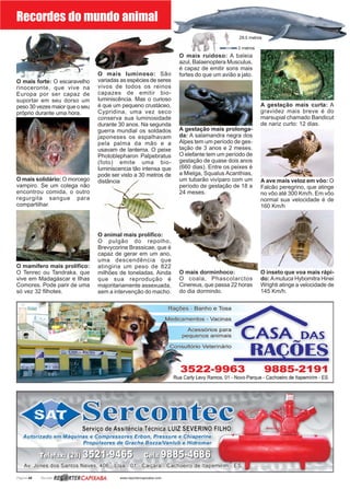 Página 48 Revista www.reportercapixaba.com
A gestação mais prolonga-
da: A salamandra negra dos
Alpes tem um período de ges-
tação de 3 anos e 2 meses.
O elefante tem um período de
gestação de quase dois anos
(660 dias). Entre os peixes é
a Mielga, Squalus Acanthias,
um tubarão vivíparo com um
período de gestação de 18 a
24 meses.
O mais forte: O escaravelho
rinoceronte, que vive na
Europa por ser capaz de
suportar em seu dorso um
peso 30 vezes maior que o seu
próprio durante uma hora.
O mais solidário: O morcego
vampiro. Se um colega não
encontrou comida, o outro
regurgita sangue para
compartilhar.
Recordes do mundo animal
O animal mais prolífico:
O pulgão do repolho,
Brevycorine Brassicae, que é
capaz de gerar em um ano,
uma descendência que
atingiria um peso de 822
milhões de toneladas. Ainda
que sua reprodução é
majoritariamente assexuada,
sem a intervenção do macho.
O mamífero mais prolífico:
O Tenrec ou Tandraka, que
vive em Madagáscar e Ilhas
Comores. Pode parir de uma
só vez 32 filhotes.
A gestação mais curta: A
gravidez mais breve é do
marsupial chamado Bandicut
de nariz curto: 12 dias.
O mais dorminhoco:
O coala, Phascolarctos
Cinereus, que passa 22 horas
do dia dormindo.
O inseto que voa mais rápi-
do: Amutuca Hybomitra Hinei
Wrighti atinge a velocidade de
145 Km/h.
O mais ruidoso: A baleia
azul, Balaenoptera Musculus,
é capaz de emitir sons mais
fortes do que um avião a jato.
A ave mais veloz em vôo: O
Falcão peregrino, que atinge
no vôo até 300 Km/h. Em vôo
normal sua velocidade é de
160 Km/h
O mais luminoso: São
variadas as espécies de seres
vivos de todos os reinos
capazes de emitir bio-
luminiscência. Mas o curioso
é que um pequeno crustáceo,
Cypridina, uma vez seco
conserva sua luminosidade
durante 30 anos. Na segunda
guerra mundial os soldados
japoneses os espalhavam
pela palma da mão e a
usavam de lanterna. O peixe
Photoblepharon Palpebratus
(foto) emite uma bio-
luminiscencia tão intensa que
pode ser visto a 30 metros de
distância
 