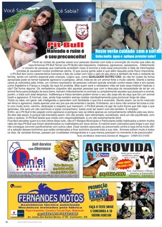 32 www.reportercapixaba.com
Neste verão cuidado com o sol!
Beba muita água e aplique protetor solar!
Perdi as contas de quantas vezes ouvi pessoas dizendo com toda a convicção do mundo que cães da
raça American Pit Bull Terrier (os Pit Bulls) são traiçoeiros, maldosos, agressivos, assassinos... Infelizmente
o número de pessoas que realmente acreditam nisso é enorme e todo esse preconceito e falta de informações
corretas já causaram muitos problemas sérios. O que pouca gente sabe é que além daquele porte físico imponente,
o Pit Bull tem como característica marcante o fato de cuidar com todo o zelo do seu dono e também de todo o restante da
família, tendo um carinho especial pela crianças. Lógico que, como QUALQUER OUTRO CÃO, se não for criado de forma
apropriada pode se tornar bastante agressivo e perigoso, afinal, trata-se de um animal forte e muito valente. Diante a tantos
casos já noticiados pela mídia, um número expressivo de pessoas cultivam grande aversão contra esses cães e em países
como Inglaterra e França a criação da raça foi proibida. Mas quem será o verdadeiro vilão de toda essa história? Apenas o
cão? De forma alguma. Os verdadeiros culpados são aquelas pessoas que com a desculpa da necessidade de se ter um
animal feroz para proteção de seus bens, treinam indevidamente os animais ou simplesmente aqueles que possuem o animal,
porém, o trata com total desprezo. Indiferença e frieza também podem tornar o seu cão (seja ele da raça que for) um animal
hostil e agressivo. É horrível, mas, ainda hoje existem arenas criadas clandestinamente para promover briga de cães.
Todos os cães, em geral, são inteligentes e aprendem com facilidade o que lhe é ensinado. Sendo assim, se os for instruído
ser feroz e agressivo, basta apenas uma vez pra que ele entenda o recado. Entretanto, se o dono não ensinar tal coisa e criá-
lo com muito amor, carinho, dedicação e respeito que merecem, o Pit Bull jamais irá agir de outra forma que não seja o que
aprendeu. Ele será um cão carinhoso e súper companheiro, basta você ser assim com ele também. É simples!
Enfim, se o Pit Bull é tão julgado como agressivo e perigoso isso se refere apenas ao comportamento refletido pelo seu dono.
Se eles são assim, é porque são treinados assim. Um cão amado, bem alimentado, socializado, será um cão equilibrado, com
toda a certeza. O Pit Bull desde que criado com responsabilidade, é um cão extremamente dócil.
Fica fácil perceber quem é a real vitima disso tudo, não é?! Abrigos Municipais e Particulares estão habituados a terem muitos
cães da raça Pit Bull que foram abandonados ou maltratados por seus donos. A maioria eram colocados para brigar e por isso
não consegue conviver pacificamente com outros cães. Esse cenário associado ao preconceito contra a raça torna muito difí-
cil a adoção desses bichinhos que estão condenados a ficar sozinhos durante toda a sua vida. Animais sofrem muito e todos
os dias, de variadas formas, passam por crueldades inimagináveis e o que menos precisam no momento é de preconceito!
Pit Bull
Malvado e ruim é
o seupreconceito!
Texto da Médica Veterinária Daniela M. Maggioni - CRMV-ES 01595
 