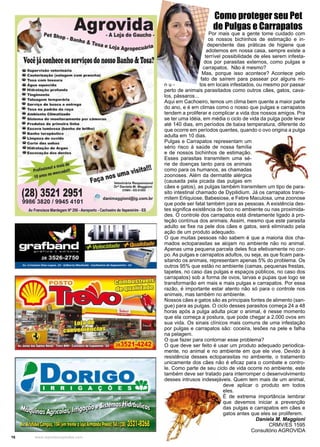 16 www.reportercapixaba.com
Como proteger seu Pet
de Pulgas e Carrapatos
Por mais que a gente tome cuidado com
os nossos bichinhos de estimação e in-
dependente das práticas de higiene que
adotemos em nossa casa, sempre existe a
terrível possibilidade de eles serem infesta-
dos por parasitas externos, como pulgas e
carrapatos. Não é mesmo?
Mas, porque isso acontece? Acontece pelo
fato de saírem para passear por alguns mi-
n u - tos em locais infestados, ou mesmo por passar
perto de animais parasitados como outros cães, gatos, cava-
los, pássaros...
Aqui em Cachoeiro, temos um clima bem quente a maior parte
do ano, e é em climas como o nosso que pulgas e carrapatos
tendem a proliferar e complicar a vida dos nossos amigos. Pra
se ter uma idéia, em média o ciclo de vida da pulga pode levar
até 140 dias, em períodos de baixa temperatura, diferente do
que ocorre em períodos quentes, quando o ovo origina a pulga
adulta em 10 dias.
Pulgas e Carrapatos representam um
sério risco à saúde de nossa família
e de nossos bichinhos de estimação.
Esses parasitas transmitem uma sé-
rie de doenças tanto para os animais
como para os humanos, as chamadas
zoonoses. Além da dermatite alérgica
(causada pela picada das pulgas em
cães e gatos), as pulgas também transmitem um tipo de para-
sito intestinal chamado de Dypilidium. Já os carrapatos trans-
mitem Erliquiose, Babesiose, e Febre Maculosa, uma zoonose
que pode ser fatal também para as pessoas. A existência des-
tes significa existência de foco no ambiente ou nas proximida-
des. O controle dos carrapatos está diretamente ligado à pro-
teção contínua dos animais. Assim, mesmo que este parasita
adulto se fixe na pele dos cães e gatos, será eliminado pela
ação de um produto adequado.
O que muitas pessoas não sabem é que a maioria dos cha-
mados ectoparasitas se alojam no ambiente não no animal.
Apenas uma pequena parcela deles fica efetivamente no cor-
po. As pulgas e carrapatos adultos, ou seja, as que ficam para-
sitando os animais, representam apenas 5% do problema. Os
outros 95% que estão no ambiente (camas, pequenas frestas,
tapetes, no caso das pulgas e espaços públicos, no caso dos
carrapatos) sob a forma de ovos, larvas e pupas que logo se
transformarão em mais e mais pulgas e carrapatos. Por essa
razão, é importante estar atento não só para o controle nos
animais, mas também no ambiente.
Nossos cães e gatos são as principais fontes de alimento (san-
gue) para as pulgas. O ciclo desses parasitos começa 24 a 48
horas após a pulga adulta picar o animal, é nesse momento
que ela começa a postura, que pode chegar a 2.000 ovos em
sua vida. Os sinais clínicos mais comuns de uma infestação
por pulgas e carrapatos são: coceira, lesões na pele e falha
na pelagem.
O que fazer para contornar esse problema?
O que deve ser feito é usar um produto adequado periodica-
mente, no animal e no ambiente em que ele vive. Devido à
resistência desses ectoparasitas no ambiente, o tratamento
unicamente dos cães não é eficaz para o combate e contro-
le. Como parte de seu ciclo de vida ocorre no ambiente, este
também deve ser tratado para interromper o desenvolvimento
desses intrusos indesejáveis. Quem tem mais de um animal,
deve aplicar o produto em todos
eles.
É de extrema importância lembrar
que devemos iniciar a prevenção
das pulgas e carrapatos em cães e
gatos antes que eles se proliferem.
Daniela M. Maggioni
CRMV/ES 1595
Consultório AGROVIDA
 