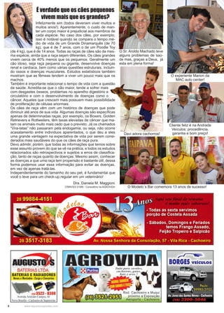 8 www.reportercapixaba.com
Davi adora cachorros!
É verdade que os cães pequenos
vivem mais que os grandes?
Dra. Daniela M. Maggioni
CRMV/ES 01595 - Consultório na AGROVIDA
Infelizmente sim (todos deveriam viver muitos e
muitos anos!). Aparentemente, o custo de man-
ter um corpo maior é prejudicial aos membros de
cada espécie. No caso dos cães, por exemplo,
isso é notável quando se compara o tempo mé-
dio de vida de um Grande Dinamarquês (de 70
kg), que é de 7 anos, com o de um Poodle Toy
(de 4 kg), que é de 14 anos. Todas as raças de cães são da mes-
ma espécie, ainda que a raça sejam diferentes. Os cães grandes
vivem cerca de 40% menos que os pequenos. Geralmente um
cão idoso, seja raça pequena ou gigante, desenvolve doenças
renal e cardíaca, bem como várias questões estruturais, incluin-
do ossos e doenças musculares. Estudos estatísticos também
mostram que as fêmeas tendem a viver um pouco mais que os
machos.
Também é importante relacionar o tempo de vida com a questão
da saúde. Acredita-se que o cão maior, tende a sofrer mais
com desgastes ósseos, problemas no aparelho digestório e
circulatório e com o desenvolvimento de doenças como o
câncer. Aqueles que crescem mais possuem mais possibilidade
de proliferação de células anormais.
Os cães de raça vêm com um histórico de doenças que pode
diminuir até anos de sua vida. Algumas doenças são específicas
apenas de determinadas raças, por exemplo, os Boxers, Golden
Retrievers e Rottweilers, têm taxas elevadas de câncer que ma-
tam os animais muito mais cedo que o previsto. Já os chamados
“Vira-latas” não passaram pela endogamia, ou seja, não ocorre
acasalamento entre indivíduos aparentados, o que deu a eles
uma grande vantagem na expectativa de vida por serem consi-
derados mais saudáveis do que os cães de raça pura.
Devo admitir, porém, que todas as informações que temos sobre
esse assunto provem do que se vê na prática, e todos os estudos
relacionados são retrospectivos e sujeitos a erros de classifica-
ção, tanto de raças quanto de doenças. Mesmo assim, conhecer
as doenças a que uma raça tem propensão é bastante útil, dessa
forma podemos usar essa informação para evitar as doenças,
em vez de apenas tratá-las.
Independentemente do tamanho do seu pet, é fundamental que
você o leve para um check-up regular em um veterinário!
O Sr. Aroldo Machado teve
alguns problemas de saú-
de mas, graças a Deus, já
esta em plena forma!
O Modelo´s Bar comemora 13 anos de sucesso!
Cliente feliz é na Andrade
Veículos: procedência,
garantia e bom preço!
O experiente Marion da
MAC auto center!
 