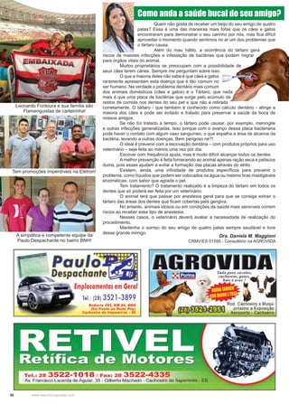 50 www.reportercapixaba.com
	 Quem não gosta de receber um beijo do seu amigo de quatro
patas? Essa é uma das maneiras mais fofas que os cães e gatos
encontraram para demonstrar o seu carinho por nós, mas fica difícil
aproveitar o momento quando sentimos no ar um dos problemas que
o tártaro causa.
	 Além do mau hálito, a ocorrência do tártaro gera
riscos de maiores infecções e infestação de bactérias que podem migrar
para órgãos vitais do animal.
	 Muitos proprietários se preocupam com a possibilidade de
seus cães terem cáries. Sempre me perguntam sobre isso.
	 O que a maioria deles não sabe é que cães e gatos
raramente apresentam esta doença que é tão comum no
ser humano. Na verdade o problema dentário mais comum
dos animais domésticos (cães e gatos) é o Tártaro, que nada
mais é que uma placa de bactérias que surge pelo acúmulo de
restos de comida nos dentes do seu pet e que não é retirada
corretamente. O tártaro - que também é conhecido como cálculo dentário - atinge a
maioria dos cães e pode ser evitado e tratado para preservar a saúde da boca de
nossos amigos.
	 Se não for tratado a tempo, o tártaro pode causar, por exemplo, meningite
e outras infecções generalizadas. Isso porque com o avanço dessa placa bacteriana
pode haver o contato com algum vaso sanguíneo, o que espalha a área de alcance da
bactéria, levando a outras doenças. Bem perigoso né?!
	 O ideal é prevenir com a escovação dentária – com produtos próprios para uso
veterinário – seja feita ao menos uma vez por dia.
	 Escovar com frequência ajuda, mas é muito difícil alcançar todos os dentes.
	 A melhor prevenção é feita fornecendo ao animal apenas ração seca e petiscos
duros, pois esses ajudam a evitar a formação das placas através do atrito.
	 Existem, ainda, uma infinidade de produtos específicos para prevenir o
problema, como líquidos que podem ser colocados na água ou mesmo tiras mastigáveis
enzimáticas, com sabor que agrada o pet.
	 Tem tratamento? O tratamento realizado é a limpeza do tártaro em todos os
dentes que só poderá ser feita por um veterinário.
	 O animal terá que passar por anestesia geral para que se consiga extrair o
tártaro das áreas dos dentes que ficam cobertas pela gengiva.
	 No entanto, animais idosos ou em condições de saúde mais sensíveis correm
riscos ao receber esse tipo de anestesia.
	 Nesses casos, o veterinário deverá avaliar a necessidade de realização do
procedimento.
	 Mantenha o sorriso do seu amigo de quatro patas sempre saudável e livre
desse grande inimigo.
Dra. Daniela M. Maggioni
CRMV/ES 01595 - Consultório na AGROVIDA
Como anda a saúde bucal do seu amigo?
Tem promoções imperdíveis na Eletron!
Leonardo Fontoura e sua família são
Flamenguistas de carteirinha!
A simpática e competente equipe da
Paulo Despachante no bairro BNH!
 