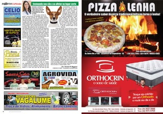 40 www.reportercapixaba.com 41www.reportercapixaba.com
Dra. Daniela M. Maggioni
CRMV/ES 01595 - Consultório na AGROVIDA
Ensinando seu cão a se aliviar no lugar certo
Ensinar o cachorro a
fazer xixi e cocô no
lugar certo é uma das
preocupações mais
freqüentes dos donos
de cães.
O que é super normal né,
gente?! Cachorrinhos de estimação que moram
dentro de casa precisam de “educação sanitária”,
isso definitivamente é necessário! É preciso ter pa-
ciência pra ensinar seu cachorro a fazer xixi e cocô
no lugar certo. Mas não se preocupe, ele aprende
relativamente rápido, só depende do seu método de
ensino. Pode ser que você pense que seu cachor-
ro já aprendeu, mas um belo dia ele erra o local.
Acontece. Não desanime nem se desespere. Es-
sas oscilação fazem parte do processo de aprendiza-
do e não vai demorar para que ele acerte 100% das
vezes. Em primeiro lugar, lembre-se: adestre com
inteligência! Os animais são perfeitamente capazes
de aprender. Você não precisa bater, gritar, afundar o
focinho dele nas fezes, para que isso aconteça. Pelo
contrário, esse tipo de atitude pode desenvolver o há-
bito da coprofagia (comer fezes!) no animal.
	 A primeira regra é escolher e mostrar o lu-
gar que será o banheiro Deixe bem claro para o seu
amigo onde será o local correto para ele fazer suas
necessidades. Cachorros e gatos muitas vezes só
fazem suas necessidades em locais limpos e secos.
Ofereça um banheiro sempre limpo e forrado. Podem
ser utilizados jornal, papel absorvente ou mesmo os
práticos tapetes higiênicos. A tendência natural do
animal será procurar usar o tapete. Muitos destes
possuem atrativos que estimulam através do odor a
utilização. Aos poucos, com as rotinas de passeios,
os cães podem ficar habituados a fazer o xixi ou cocô
na rua. O problema é que alguns ficam tão condicio-
nados que ficam dependentes dos passeios. Por isso
é importante estabelecer o local do banheirinho em
casa para o seu amigo, assim ele não passa aperto
se não der para passear em um dia de chuva!
	 Existem produtos que são os chama-
dos “adestradores sanitários”, na forma de gotas
ou sprays, que servem para ser colocados no local
e auxiliar o animal a identificar através do faro que
aquele é o local certo para que ele faça as suas
necessidades. Costumo di-
zer que a própria urina do
cãozinho pode ter o mesmo
efeito! Outros produtos, na
forma de sprays, podem ser
borrifados nos locais em que
você NÃO deseja que ele faça
as suas necessidades, ou seja,
são repelentes. São muito úteis e
podem realmente te ajudar nesta
tarefa. No entanto vale lembrar que
nem sempre esses produtos funcio-
nam em 100% dos cães. Pode ser
ótimo para o cachorro do vizinho
e não ter nenhum efeito no seu
cãozinho.
	 Outra dica crucial: nunca dê bronca, brigue
ou bata no seu cachorrinho depois que ele já fez sua
necessidade fora do lugar! Ele não se lembra e só
ficará com medo de você, e isso ainda vai induzir a
comportamentos inadequados. No momento em que
flagrar o seu pet fazendo suas necessidades, você
deve levar imediatamente ao lugar escolhido como
banheiro. Quando o cachorrinho demonstrar a von-
tade ou você conseguir pegá-lo no momento prestes
a fazer suas necessidades coloque-o em cima do lo-
cal desejado. O mais eficaz é sempre um bom susto
com um bater de palmas na hora do flagrante. Bater
ou palmadinhas não são eficazes com os cachorros.
Vale um “não” e um gelo mostrando que você não
gostou da atitude dele na hora do ato. Um reforço po-
sitivo, como um carinho ou um petisco se ele fizer as
necessidades no local correto também. Vale lembrar
que entre os cães, o xixi não é somente uma neces-
sidade biológica. Para os adultos, essa é uma forma
de marcar o território e sinalizar a disponibilidade re-
produtiva: através da urina é que as fêmeas sinali-
zam para os machos que estão no cio, por exemplo.	
Quanto mais paciência melhor...Normalmente os
cães só assimilam totalmente o local correto de fazer
suas necessidades a partir dos seis meses de idade
e como eu disse, podem ocorrer “acidentes” durante
esse período! Afinal de contas, nossa mãe teve paci-
ência conosco e nossas fraldas, certo?
 