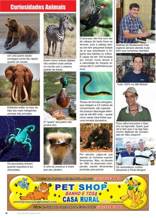 50 www.reportercapixaba.com
Elefantes estão no topo da
lista dos mais inteligentes
animais não primatas.
O olho do avestruz é maior
que seu cérebro.
Um urso pardo adulto
consegue correr tão rápido
quanto um cavalo.
O "quack" dos patos não
produz eco.
Assim como nossas digitais,
não existem duas zebras
no mundo com o mesmo
padrão de listras.
Os escorpiões brilham
quando expostos à luz
ultravioleta.
Curiosidades Animais
O pica-pau não fica com dor
de cabeça de tanto bicar as
árvores, pois a cabeça des-
sa ave tem pequenas bolsas
de ar que amortecem o im-
pacto das batidas no crânio.
É capaz de dar 100 bicadas
por minuto numa árvore e
a velocidade do impacto al-
cança até 21 quilômetros por
hora.
Por seculos, julgou-se que
apenas os humanos usavam
ferramentas. Mas, na década
de 1960, foi observado chim-
panzés usando ferramentas
pontudas para pescar.
Peixes de formato alongado,
que chegam a 2,5 metros de
comprimento, são capazes
de produzir descargas elétri-
cas de até 600 volts – quase
cinco vezes mais fortes que
uma tomada doméstica.
Mathias do Restaurante Cas-
teglione sempre atende muito
bem sua numerosa clientela!
Tudo 100% na JMJ Motos!
Os carismáticos irmãos
Alexandre e Paulo Borges!
Ficou difícil encontrar o Gaú-
cho na Agrovida. Quem quer
vê lo tem que ir na loja Gaú-
chinho Material de Constru-
ção em São Joaquim!
 