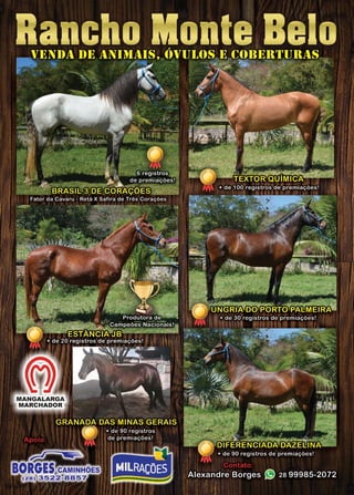 9www.reportercapixaba.com
 