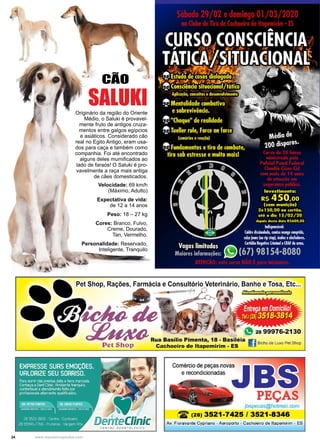 34 www.reportercapixaba.com
Originário da região do Oriente
Médio, o Saluki é provavel-
mente fruto de antigos cruza-
mentos entre galgos egípcios
e asiáticos. Considerado cão
real no Egito Antigo, eram usa-
dos para caça e também como
companhia. Foi até encontrado
alguns deles mumificados ao
lado de faraós! O Saluki é pro-
vavelmente a raça mais antiga
de cães domesticados.
Velocidade: 69 km/h
(Máximo, Adulto)
Expectativa de vida:
de 12 a 14 anos
Peso: 18 – 27 kg
Cores: Branco, Fulvo,
Creme, Dourado,
Tan, Vermelho.
Personalidade: Reservado,
Inteligente, Tranquilo
SALUKI
CÃO
Pet Shop, Rações, Farmácia e Consultório Veterinário, Banho e Tosa, Etc...
~
"2899976-2130
Rua Basílio Pimenta, 18 • Basiléia
Cachoeiro de ltapemirim - ES
Comércio de peças novaJ
e recondicionadas
Bicho de Lu.xo Pet Shop
PEÇAS
jbspecas@hotmail.com
(28) 3521-7425 / 3521-8346
Av. Fioravanle Cypriano - Aeroporto - Cachoeiro de llapemirim - ES
 