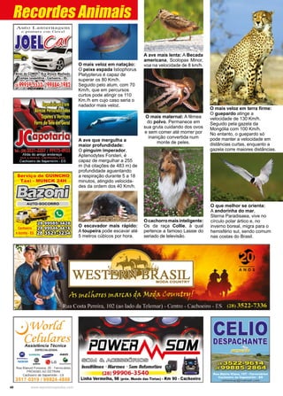 40 www.reportercapixaba.com
O que melhor se orienta:
A andorinha do mar,
Sterna Paradisaea, vive no
círculo polar ártico e, no
inverno boreal, migra para o
hemisfério sul, sendo comum
nas costas do Brasil.
O escavador mais rápido:
A toupeira pode escavar até
5 metros cúbicos por hora.
O mais veloz em terra firme:
O guepardo atinge a
velocidade de 130 Km/h.
Seguido pela gazela da
Mongólia com 100 Km/h.
No entanto, o guepardo só
pode manter a velocidade em
distâncias curtas, enquanto a
gazela corre maiores distâncias.
O mais veloz em natação:
O peixe espada Istiophorus
Platypterus é capaz de
superar os 80 Km/h.
Seguido pelo atum, com 70
Km/h, que em percursos
curtos pode atingir os 110
Km./h em cujo caso seria o
nadador mais veloz.
A ave que mergulha a
maior profundidade:
O pinguim imperador,
Aptenodytes Forsteri, é
capaz de mergulhar a 255
m (há citações de 483 m) de
profundidade aguentando
a respiração durante 5 a 18
minutos, atingido velocida-
des da ordem dos 40 Km/h.
Recordes Animais
O mais maternal: A fêmea
do polvo. Permanece em
sua gruta cuidando dos ovos
e sem comer até morrer por
inanição convertida num
monte de peles.
A ave mais lenta: A Becada
americana, Scolopax Minor,
voa na velocidade de 8 km/h.
Ocachorromaisinteligente:
Os da raça Collie, à qual
pertence a famoso Lassie do
seriado de televisão.
 