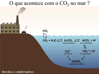 O que acontece com o CO2 no mar ?




Berchez e colaboradores
 