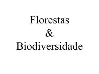Florestas
      &
Biodiversidade
 