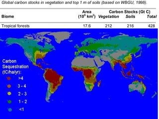 Global carbon stocks in vegetation and top 1 m of soils (based on WBGU, 1998).

                                           Area         Carbon Stocks (Gt C)
Biome                                    (106 km2) Vegetation  Soils      Total

Tropical forests                           17.6        212         216           428
Temperate forests                          10.4         59         100           159
Boreal forests                             13.7         88         471           559
Tropical savannas                          22.5         66         264           330
Temperate grasslands                       12.5         9          295           304
Deserts and semideserts                    45.5         8          191           199
Tundra                                      9.5         6          121           127
Wetlands                                    3.5         15         225           240
Croplands                                  16.0         3          128           131

Total                                     151.2        466        2011       2477
 