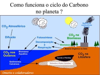 Como funciona o ciclo do Carbono
               no planeta ?




Ometto e colaboradores
 