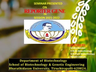 SEMINAR PRESENTED
ON
REPORTER GENE
IN
SESSION 2021-2022
Department of Biotechnology
School of Biotechnology & Genetic Engineering
Bharathidasan University, Tiruchirapalli-620024.
SUBM
ITTEDBY:
M.Manikandan
II.M.Sc.Biotechnology
SUB:Plant Biotechnology
REGNO:20BT20.
 