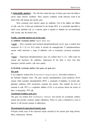 Reporter gene[2] | DOCX