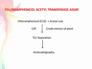 CHLORAMPHENICOL ACETYL TRANSFERASE ASSAY
Chloramphenicol (C14) + Acetyl coA
CAT Crude extract of plant
TLC Separation
Autoradiography
 