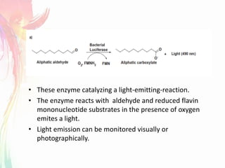 • These enzyme catalyzing a light-emitting-reaction.
• The enzyme reacts with aldehyde and reduced flavin
mononucleotide substrates in the presence of oxygen
emites a light.
• Light emission can be monitored visually or
photographically.
 
