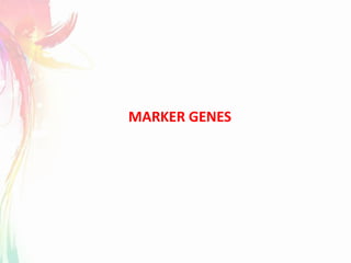 MARKER GENES
 