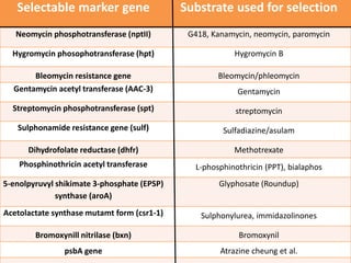 Selectable marker gene Substrate used for selection
Neomycin phosphotransferase (nptII) G418, Kanamycin, neomycin, paromycin
Hygromycin phosophotransferase (hpt) Hygromycin B
Bleomycin resistance gene Bleomycin/phleomycin
Gentamycin acetyl transferase (AAC-3) Gentamycin
Streptomycin phosphotransferase (spt) streptomycin
Sulphonamide resistance gene (sulf) Sulfadiazine/asulam
Dihydrofolate reductase (dhfr) Methotrexate
Phosphinothricin acetyl transferase L-phosphinothricin (PPT), bialaphos
5-enolpyruvyl shikimate 3-phosphate (EPSP)
synthase (aroA)
Glyphosate (Roundup)
Acetolactate synthase mutamt form (csr1-1) Sulphonylurea, immidazolinones
Bromoxynill nitrilase (bxn) Bromoxynil
psbA gene Atrazine cheung et al.
 