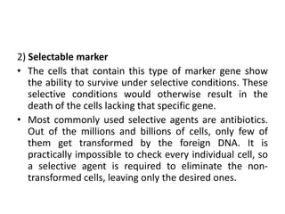 Reporter genes | PPTX