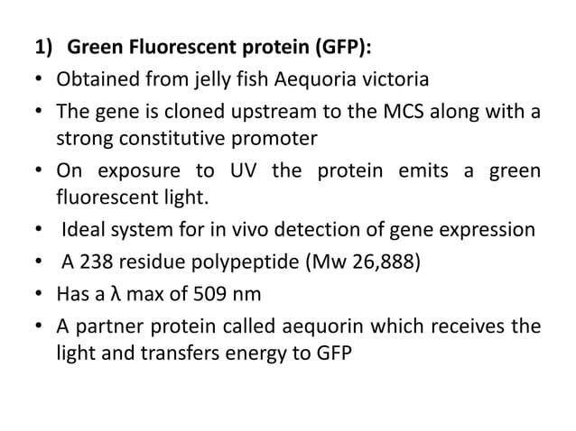 Reporter genes | PPTX | Biotech and Biomedical Industry | Industries