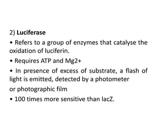 Reporter genes | PPTX