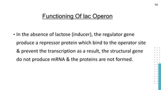 • In the absence of lactose (inducer), the regulator gene
produce a repressor protein which bind to the operator site
& prevent the transcription as a result, the structural gene
do not produce mRNA & the proteins are not formed.
Functioning Of lac Operon
14
 