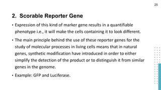 2. Scorable Reporter Gene
• Expression of this kind of marker gene results in a quantifiable
phenotype i.e., it will make the cells containing it to look different.
• The main principle behind the use of these reporter genes for the
study of molecular processes in living cells means that in natural
genes, synthetic modification have introduced in order to either
simplify the detection of the product or to distinguish it from similar
genes in the genome.
• Example: GFP and Luciferase.
25
 