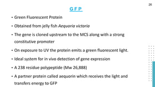 • Green Fluorescent Protein
• Obtained from jelly fish Aequoria victoria
• The gene is cloned upstream to the MCS along with a strong
constitutive promoter
• On exposure to UV the protein emits a green fluorescent light.
• Ideal system for in vivo detection of gene expression
• A 238 residue polypeptide (Mw 26,888)
• A partner protein called aequorin which receives the light and
transfers energy to GFP
G F P
26
 