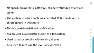• No special biosynthetic pathways; can be synthesized by any cell
system
• The protein structure contains a barrel of 11 ẞ strands with a
chromophore in the centre
• This is a post-translational modification
• Mainly used as a reporter as well as a tag system
• Used to locate proteins within cells / tissues
• Also used to measure the levels of expression
29
 