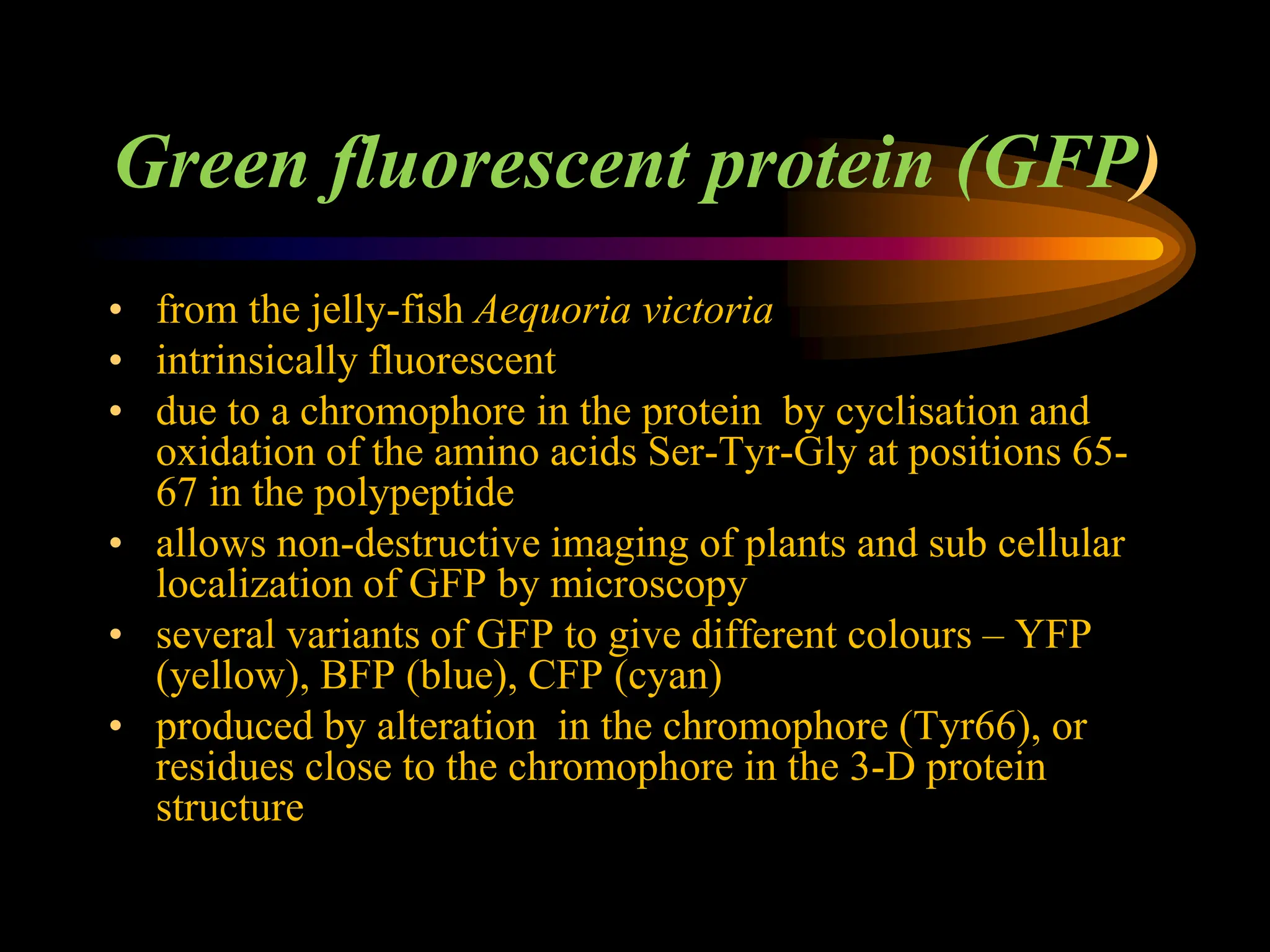 reporter_genes by Dr pradeep complete explanation | PPT