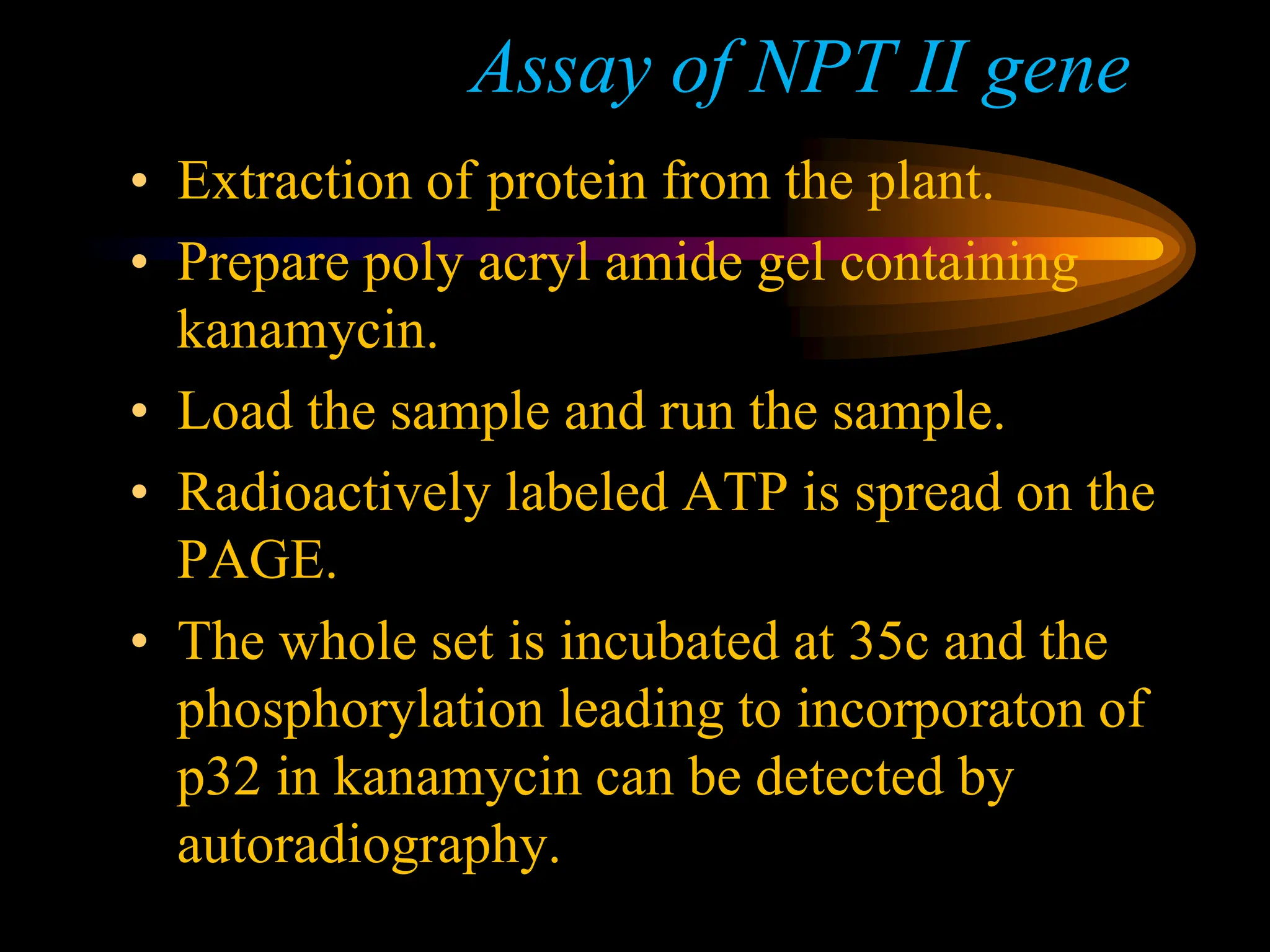 reporter_genes by Dr pradeep complete explanation | PPT