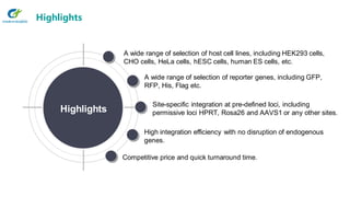Highlights
Competitive price and quick turnaround time.
High integration efficiency with no disruption of endogenous
genes.
Site-specific integration at pre-defined loci, including
permissive loci HPRT, Rosa26 and AAVS1 or any other sites.
A wide range of selection of reporter genes, including GFP,
RFP, His, Flag etc.
A wide range of selection of host cell lines, including HEK293 cells,
CHO cells, HeLa cells, hESC cells, human ES cells, etc.
Highlights
 