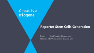 Email: info@creative-biogene.com
Website: http://www.creative-biogene.com
Reporter Stem Cells Generation
Creative
Biogene
 