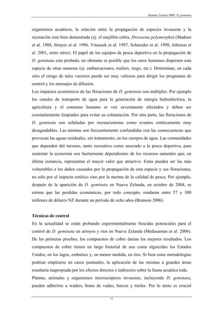Reporte Técnico DRP: D. geminata



organismos acuáticos, la relación entre la propagación de especies invasoras y la
recreación esta bien demostrada (ej. el mejillón cebra, Dreissena polymorpha) (Madsen
et al. 1988, Strayer et al. 1996, Vitousek et al. 1997, Schneider et al. 1998, Johnson et
al. 2001, entre otros). El papel de los equipos de pesca deportiva en la propagación de
D. geminata esta probado, no obstante es posible que los seres humanos dispersen esta
especie de otras maneras (ej. embarcaciones, trailers, riego, etc.). Determinar, en cada
sitio el riesgo de tales vectores puede ser muy valiosos para dirigir los programas de
control y los mensajes de difusión.
Los impactos económicos de las floraciones de D. geminata son múltiples. Por ejemplo
los canales de transporte de agua para la generación de energía hidroeléctrica, la
agricultura y el consumo humano se ven severamente afectados y deben ser
constantemente limpiados para evitar su colmatación. Por otra parte, las floraciones de
D. geminata son señaladas por recreacionistas como eventos estéticamente muy
desagradables. Las mismas son frecuentemente confundidas con las consecuencias que
provocan las aguas residuales, sin tratamiento, en los cuerpos de agua. Las comunidades
que dependen del turismo, tanto recreativo como asociado a la pesca deportiva, para
sustentar la economía son fuertemente dependientes de los recursos naturales que, en
última instancia, representan el mayor valor que atractivo. Estas pueden ser las más
vulnerables a los daños causados por la propagación de esta especie y sus floraciones,
no solo por el impacto estético sino por la merma de la calidad de pesca. Por ejemplo,
después de la aparición de D. geminata en Nueva Zelanda, en octubre de 2004, se
estima que las perdidas económicas, por todo concepto, rondaran entre 57 y 300
millones de dólares NZ durante un período de ocho años (Branson 2006).


Técnicas de control
En la actualidad se están probando experimentalmente biocidas potenciales para el
control de D. geminata en arroyos y ríos en Nueva Zelanda (Medusaman et al. 2006).
De las primeras pruebas, los compuestos de cobre darían los mejores resultados. Los
compuestos de cobre tienen un largo historial de uso como alguicidas los Estados
Unidos, en los lagos, embalses y, en menor medida, en ríos. Si bien estas metodologías
podrían emplearse en casos puntuales, la aplicación de las mismas a grandes áreas
resultaría inapropiada por los efectos directos e indirectos sobre la fauna acuática toda.
Plantas, animales y organismos microscópicos invasores, incluyendo D. geminata,
pueden adherirse a waders, botas de vadeo, barcos y trailes. Por lo tanto es crucial

                                             11
 