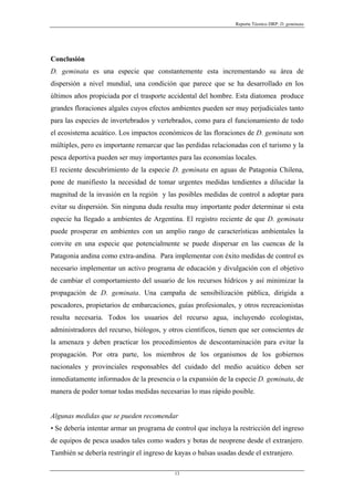 Reporte Técnico DRP: D. geminata




Conclusión
D. geminata es una especie que constantemente esta incrementando su área de
dispersión a nivel mundial, una condición que parece que se ha desarrollado en los
últimos años propiciada por el trasporte accidental del hombre. Esta diatomea produce
grandes floraciones algales cuyos efectos ambientes pueden ser muy perjudiciales tanto
para las especies de invertebrados y vertebrados, como para el funcionamiento de todo
el ecosistema acuático. Los impactos económicos de las floraciones de D. geminata son
múltiples, pero es importante remarcar que las perdidas relacionadas con el turismo y la
pesca deportiva pueden ser muy importantes para las economías locales.
El reciente descubrimiento de la especie D. geminata en aguas de Patagonia Chilena,
pone de manifiesto la necesidad de tomar urgentes medidas tendientes a dilucidar la
magnitud de la invasión en la región y las posibles medidas de control a adoptar para
evitar su dispersión. Sin ninguna duda resulta muy importante poder determinar si esta
especie ha llegado a ambientes de Argentina. El registro reciente de que D. geminata
puede prosperar en ambientes con un amplio rango de características ambientales la
convite en una especie que potencialmente se puede dispersar en las cuencas de la
Patagonia andina como extra-andina. Para implementar con éxito medidas de control es
necesario implementar un activo programa de educación y divulgación con el objetivo
de cambiar el comportamiento del usuario de los recursos hídricos y así minimizar la
propagación de D. geminata. Una campaña de sensibilización pública, dirigida a
pescadores, propietarios de embarcaciones, guías profesionales, y otros recreacionistas
resulta necesaria. Todos los usuarios del recurso agua, incluyendo ecologistas,
administradores del recurso, biólogos, y otros científicos, tienen que ser conscientes de
la amenaza y deben practicar los procedimientos de descontaminación para evitar la
propagación. Por otra parte, los miembros de los organismos de los gobiernos
nacionales y provinciales responsables del cuidado del medio acuático deben ser
inmediatamente informados de la presencia o la expansión de la especie D. geminata, de
manera de poder tomar todas medidas necesarias lo mas rápido posible.


Algunas medidas que se pueden recomendar
• Se debería intentar armar un programa de control que incluya la restricción del ingreso
de equipos de pesca usados tales como waders y botas de neoprene desde el extranjero.
También se debería restringir el ingreso de kayas o balsas usadas desde el extranjero.

                                           13
 