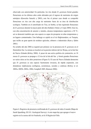 Reporte Técnico DRP: D. geminata



observado con anterioridad. En particular, los ríos donde D. geminata formó grandes
floraciones en los últimos años están afectados por el ingreso de nutrientes de origen
antrópico (Kawecka Sanecki y 2003), este fue el primer caso donde se comprobó
floraciones en ríos con alta carga de nutrientes fuera de su área de distribución
ecológica. También en el eutrofisado río Tisa, en Serbia, se han registrado floraciones
de D. geminata durante la mayor parte del año (Subakov-Simić y Cvijan 2004). Este río,
con alta concentración de amonio y metales, alcanza temperaturas superiores a 20 °C,
así se demostró también que esta especie es capaz de prosperar en altas temperaturas y
en lugares contaminados. Este hallazgo se repitió en el río Değirmendere, en Turquía,
que recibe un gran aporte de residuos agrícolas, urbanos e industriales (Kara y Şahin
2001).
En octubre del año 2004 se registró por primera vez la presencia de D. geminata en el
Hemisferio Sur. La misma se localizó en la porción inferior del río Waiau, en la Isla Sur
de Nueva Zelanda (Kilroy 2004). A pesar de una activa política de contención, en 18
meses D. geminata se propago a 12 ríos de la Isla del Sur y formó grandes floraciones
en varios sitios en los años posteriores (Figura 5). El caso de Nueva Zelanda demuestra
que D. geminata es una especie fuertemente invasora, de rápida expansión, con
dramáticas implicancias ecológicas, económicas, sociales y estéticas (Kilroy et al.
2005a, 2005b, 2005c, 2006, Campbell 2005, Branson 2006).




Figura 4. Registros de presencia confirmada de D. geminata de todo el mundo (Mapa de
Sarah Spaulding, EE.UU. Geological Survey). A este mapa hay que agregar el nuevo
registro en la cuenca del río Futaleufu, en la X Región de Chile.


                                            5
 