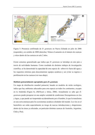 Reporte Técnico DRP: D. geminata




Figura 5: Presencia confirmada de D. geminata en Nueva Zelanda en julio de 2006
(izquierda) y en octubre de 2008 (derecha). Nótese el aumento en el número de cuencas
y sitios dentro de las cuencas en solo 2 años.


Existe consenso generalizado que indica que D. geminata se introdujo en este país a
través de actividades humanas. Como resultado de distintos trabajos de investigación
científica, se ha demostrado la capacidad de esta especie de sobrevivir fuera del agua y
los requisitos mínimos para descontaminar equipos acuáticos y así evitar su ingreso o
proliferación en las cuencas (ver mas abajo).


Habitats potencialmente apropiados para D. geminata
Un mapa de distribución mundial potencial, basado en modelos de nicho ecológico,
indica que hay ambientes adecuados para esta especie en todos los continentes, excepto
en la Antártida (Figura 6), (McNyset y Julius, 2006). Actualmente se sabe que D.
geminata puede prosperar en una amplia variedad de condiciones fisicoquímicas en ríos
y lagos, y que puede ser trasportada accidentalmente por el hombre, lo que la transforma
en una seria amenaza para los ecosistemas acuáticos alrededor del mundo. Los ríos en el
hemisferio sur están especialmente en riesgo de nuevas introducciones y dispersiones
dentro de las áreas ya afectadas, en particular distintas cuencas de Australia, Argentina,
Chile y Perú.




                                             6
 