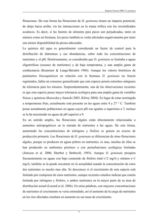 Reporte Técnico DRP: D. geminata



floraciones. De esta forma las floraciones de D. geminata tienen un impacto potencial,
de abajo hacia arriba, vía las interacciones en la trama trófica con los invertebrados
acuáticos. Es decir, si las fuentes de alimento para peces son perjudicadas, tanto en
número como en biomasa, los peces también se verán afectados negativamente por tener
una menor disponibilidad de presas adecuadas.
La química del agua es generalmente considerada un factor de control para la
distribución de diatomeas y sus abundancias, sobre todo las concentraciones de
nutrientes y el pH. Históricamente, se consideraba que D. geminata se limitaba a aguas
oligotróficas (escasez de nutrientes) y de baja temperatura, y una amplia gama de
conductancia (Krammer & Lange-Bertalot 1986). Aunque los valores históricos de
parámetros fisicoquímicos en relación con la biomasa D. geminata no fueron
registrados, había un consenso generalizado que esta especie poseía estrechos márgenes
de tolerancia para los mismos. Sorprendentemente, una de las observaciones recientes
es que esta especie posee mayor tolerancia ecológica para una amplia gama de variables
físicas y químicas (Kawecka y Sanecki 2003, Kilroy 2004). En lugar de estar restringida
a temperaturas frías, actualmente está presente en las aguas entre 4 y 27 ° C. También
posee actualmente poblaciones en aguas cuyos pH son iguales o superiores a 7, incluso
se la ha encontrado en aguas de pH superior a 9.
En un sentido amplio, las floraciones algales están directamente relacionadas a
aumentos antropogénicos en la entrada de nutrientes a las aguas. De esta forma,
aumentado las concentraciones de nitrógeno y fósforo se genera un exceso de
producción primaria. Las floraciones de D. geminata se diferencian de otras floraciones
algales, porque se producen en aguas pobres en nutrientes, es mas, muchas de ellas se
han producido en ambientes prístinos o con perturbaciones ecológicas limitadas
(Jónsson et al. 2000, Sherbot y Bothwell, 1993). Aunque D. geminata prospera
frecuentemente en aguas con bajo contenido de fósforo total (<2 mg/l) y nitratos (<1
mg/l), también se la puede encontrar en la actualidad cuando la concentración de estos
dos nutrientes es mucho mas alta. Se desconoce si el crecimiento de esta especie está
limitado por cualquiera de estos nutrientes, aunque recientes estudios indican que estaría
limitada por nitrógeno y fósforo, o ambos nutrientes en la mayor parte de su área de
distribución actual (Larned et al. 2006). En otras palabras, con mayores concentraciones
de nutrientes el crecimiento se vería estimulado, así el aumento de la carga de nutrientes
en los ríos afectados resultara en aumento en sus tasas de crecimiento.



                                            9
 