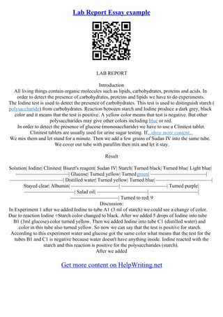 Report Example Essay | PDF