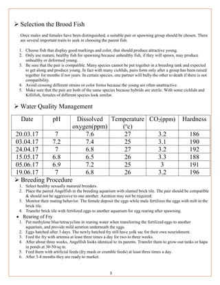 3
 Selection the Brood Fish
Once males and females have been distinguished, a suitable pair or spawning group should be chosen. There
are several important traits to seek in choosing the parent fish.
1. Choose fish that display good markings and color, that should produce attractive young.
2. Only use mature, healthy fish for spawning because unhealthy fish, if they will spawn, may produce
unhealthy or deformed young.
3. Be sure that the pair is compatible. Many species cannot be put together in a breeding tank and expected
to get along and produce young. In fact with many cichlids, pairs form only after a group has been raised
together for months if not years. In certain species, one partner will bully the other to death if there is not
compatibility.
4. Avoid crossing different strains or color forms because the young are often unattractive.
5. Make sure that the pair are both of the same species because hybrids are sterile. With some cichlids and
Killifish, females of different species look similar.
 Water Quality Management
Date pH Dissolved
oxygen(ppm)
Temperature
(o
c)
CO2(ppm) Hardness
20.03.17 7 7.6 27 3.2 186
03.04.17 7.2 7.4 25 3.1 190
24.04.17 7 6.8 27 3.2 192
15.05.17 6.8 6.5 26 3.3 188
05.06.17 6.9 7.2 25 3 191
19.06.17 7 6.8 26 3.2 196
 Breeding Procedure
1. Select healthy sexually matured breeders.
2. Place the paired Angelfish in the breeding aquarium with slanted brick tile. The pair should be compatible
& should not be aggressive to one another. Aeration may not be required.
3. Monitor their mating behavior. The female deposit the eggs while male fertilizes the eggs with milt in the
brick tile.
4. Transfer brick tile with fertilized eggs to another aquarium for egg rearing after spawning.
 Rearing of Fry
1. Put methylene blue/tetracycline in rearing water when transferring the fertilized eggs to another
aquarium, and provide mild aeration underneath the eggs.
2. Eggs hatched after 3 days. The newly hatched fry still have yolk sac for their own nourishment.
3. Feed the fry with artemia at least three times a day for two to three weeks.
4. After about three weeks, Angelfish looks identical to its parents. Transfer them to grow-out tanks or hapa
in ponds at 30-50/sq m.
5. Feed them with artificial feeds (fry mash or crumble feeds) at least three times a day.
6. After 3-4 months they are ready to market.
 