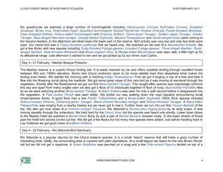 CLOUD FOREST BIRDS OF NORTHWEST ECUADOR                                                                         19-25 FEBRUARY 2011




the guesthouse we watched a large number of hummingbirds including Velvet-purple Coronet, Buff-tailed Coronet, Gorgeted
Sunangel, Brown Inca, Violet-tailed Sylph, Speckled Hummingbird, Booted Racket-tail, Andean Emerald, Purple-throated Woodstar,
Fawn-breasted Brilliant, Rufous-tailed Hummingbird and Empress Brilliant. Flame-faced Tanager, Golden-naped Tanager, Golden
Tanager, Blue-winged Mountain-tanager, Orange-bellied Euphonia, Masked Flowerpiercer and Sickle-winged Guan were coming to
the banana feeders. In the afternoon we hiked down the lower part of the reserve. Bird activity was very low and only few birds were
seen. Our rarest bird was a Tawny-throated Leaftosser that we heard only. We watched an old nest of a Moustached Antpitta. We
got a few flocks with new species including Scaly-throated Foliage-gleaner, Lineated Foliage-gleaner, Three-striped Warbler, Rusty-
winged Barbtail, Slate-throated Whitestart and Brown-capped Vireo. A Wedge-billed Woodcreeper was seen well, a little high up for
its altitudonal range. Late afternoon it started to rain and we got picked up by our driver Juan Carlos.

 Day 3 - 21 February - Mashpi Bosque Protector

The Mashpi reserve is a superb Chocó birding site. It is easily reached by car and offers roadside birding through excellent forest
between 900 and 1300m elevation. Some rare Chocó endemics seem to be more reliable here than elsewhere what makes the
birding even better. We started the morning with a cracking Indigo Flowerpiercer. First we got it singing in top of a tree and later it
flew into the flowering scrub along the roadside. We got some great views of this rare bird as it was moving at eye-level through the
vegetation. Shortly after the flowerpiercer we got our first Moss-backed Tanager. This sought-after species was surprisingly common
this day and apart from many singles seen we also got a flock of 12 individuals together! A flock of noisy Blue-fronted Parrotlets flew
by as we were watching another Moss-backed Tanager. A Black Solitaire was seen for only a split second before it disappeared into
the vegetation. A Pale-vented Thrush was seen better. We birded our way walking down the road regularly encountering small
mixed-species flocks. A good flock had a few Pacific Tuftedcheeks and a Brown-billed Scythebill. Other flock species included
Rufous-rumped Antwren, Glistening-green Tanager, Black-chinned Mountain-tanager and Rufous-throated Tanager. A Black-billed
Peppershrike was singing from a nearby treetop but we never got to see it. Further down we run into our first Toucan Barbets of the
trip. We also got nice views of a Crimson-rumped Toucanet. We detected a Bronze-olive Pygmy-tyrant by its wing snaps. It was
moving steadily through the understory. We tried hard for the Chocó Vireo but the species was heard only shortly. Lower down closer
to the Mashpi hotel we watched a Barred Hawk flying by and a pair of Barred Becards showed nicely. In the lower stretch of forest
past the hotel bird activity turned out low. We did get a few flocks but not many new species were added. Just before heading back to
Las Gralarias we got good views of a Black Solitaire.

 Day 4 - 22 February - Rio Silanche Bird Sanctuary

Rio Silanche is a popular day-trip for the Chocó lowland species. It is a small “island” reserve that still holds a good number of
interesting birds. Sadly, the surrounding area is covered with palm plantations. At a small lagoon we taped for the rare Brown Wood-
rail but we did not get a response. A Green Kingfisher was perched on a snag and a few Pale-vented Pigeons landed on top of a




                                                        WWW.MINDOBIRDTOURS.COM                                                        4
 