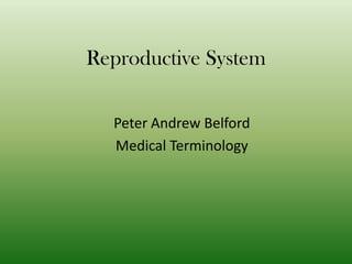 Reproductive System

  Peter Andrew Belford
  Medical Terminology
 